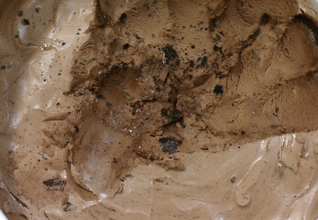 Chocolate Chocolate Chip ice cream
