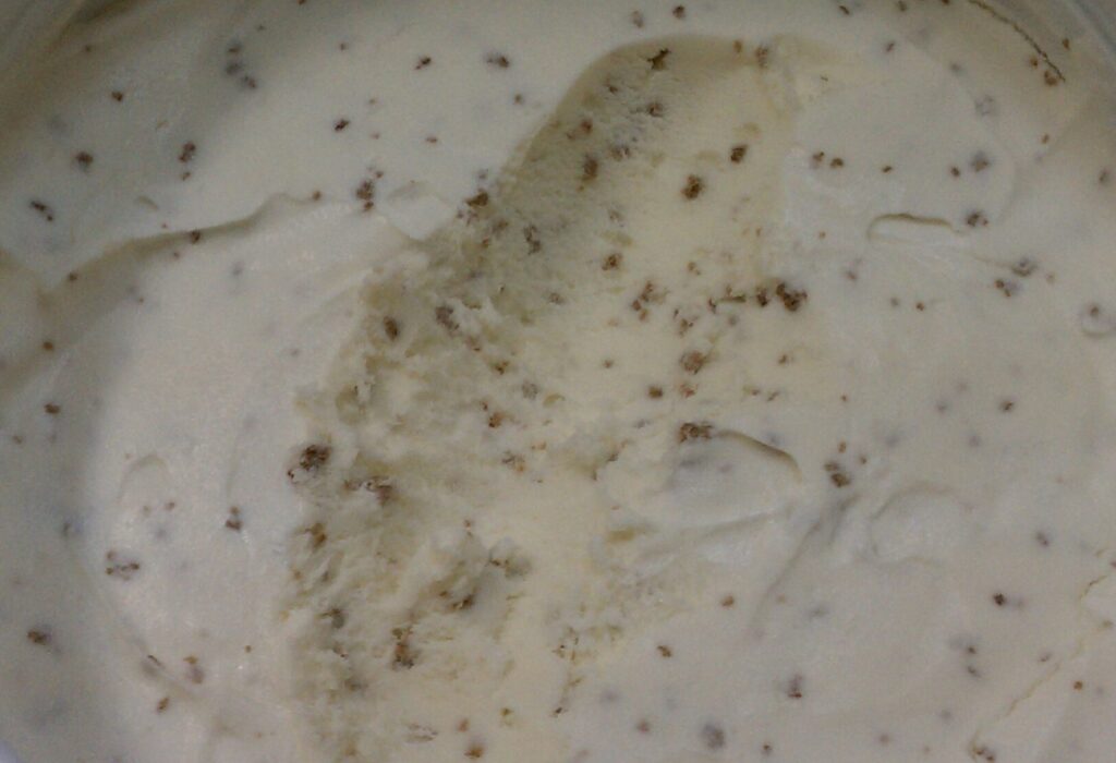 GritNut ice cream