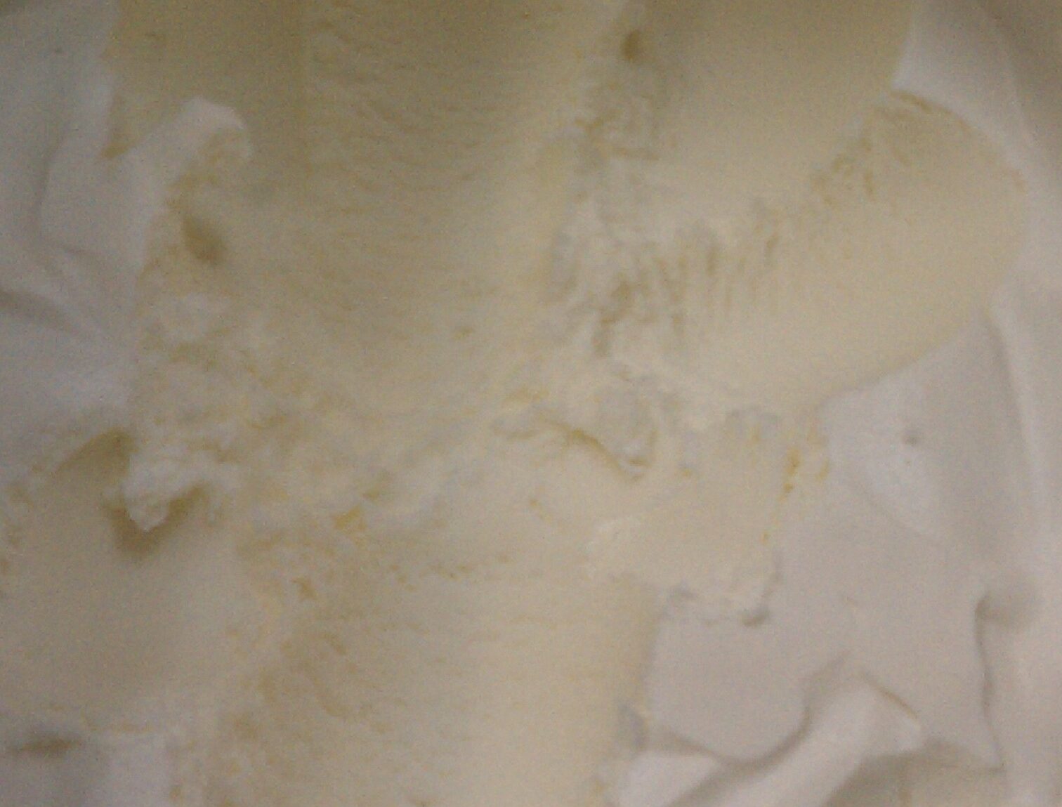 Vanilla ice cream